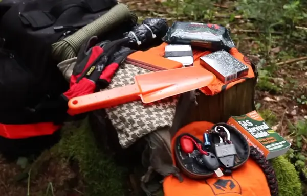 Bug out bag contents laid out on a tree stump, including a shovel, rope, gloves, and survival guide, ready for an emergency situation.