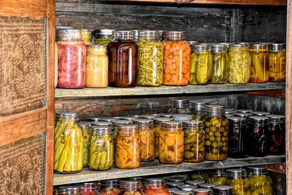 Shelves filled with various jars of preserved vegetables and fruits, showcasing home canning and food storage techniques.